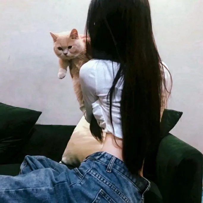 替嫁红颜